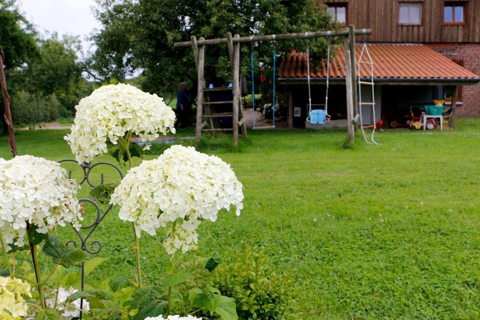 Dornroeschen Appartement Scheggerott Buitenkant foto